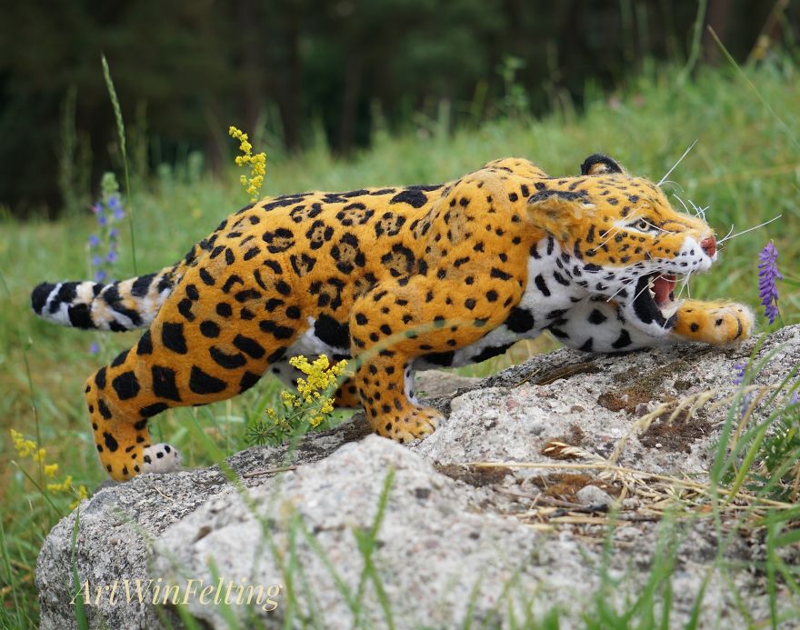 I Have A Magic Wand To Create Endangered Animals I Have A Magic Wand To Create Endangered Animals
