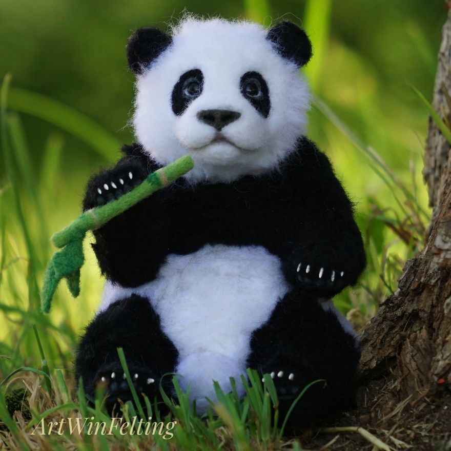I Have A Magic Wand To Create Endangered Animals I Have A Magic Wand To Create Endangered Animals