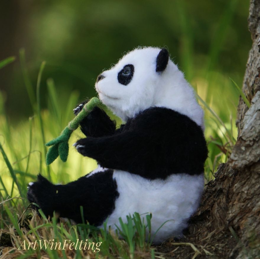 I Have A Magic Wand To Create Endangered Animals I Have A Magic Wand To Create Endangered Animals