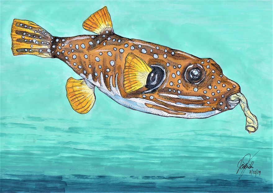 I Paint Colorful Marine Animals With A Twist To Show The Extent Of Plastic Pollution In Our Oceans I Paint Colorful Marine Animals With A Twist To Show The Extent Of Plastic Pollution In Our Oceans