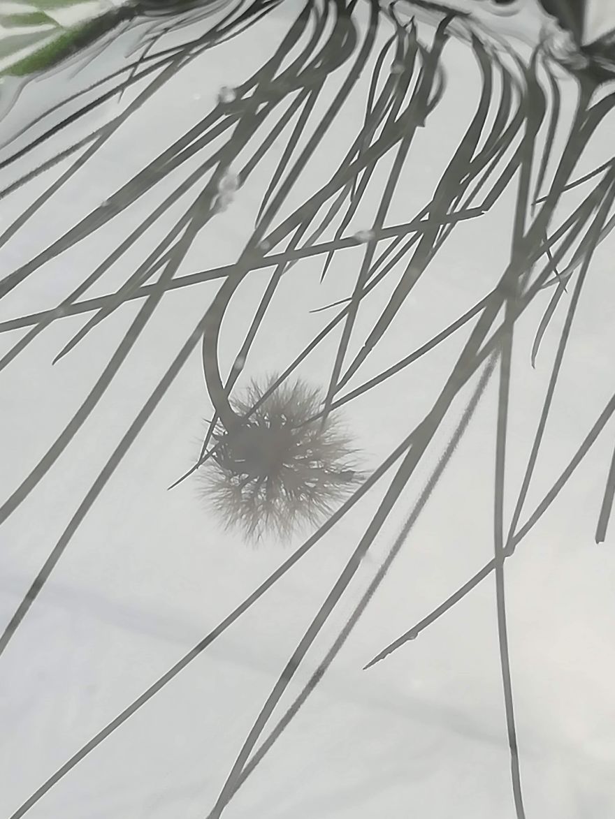 I Used Water To Create Different Reflection Images