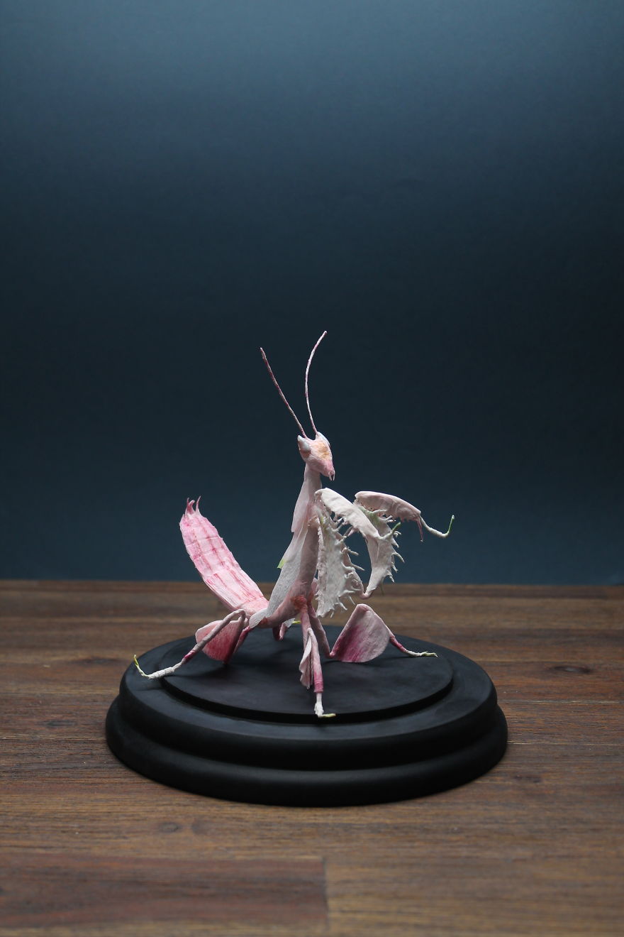 I Am A Paper Artist And I Make Realistic Animals And Insects From Paper (24 Pics)