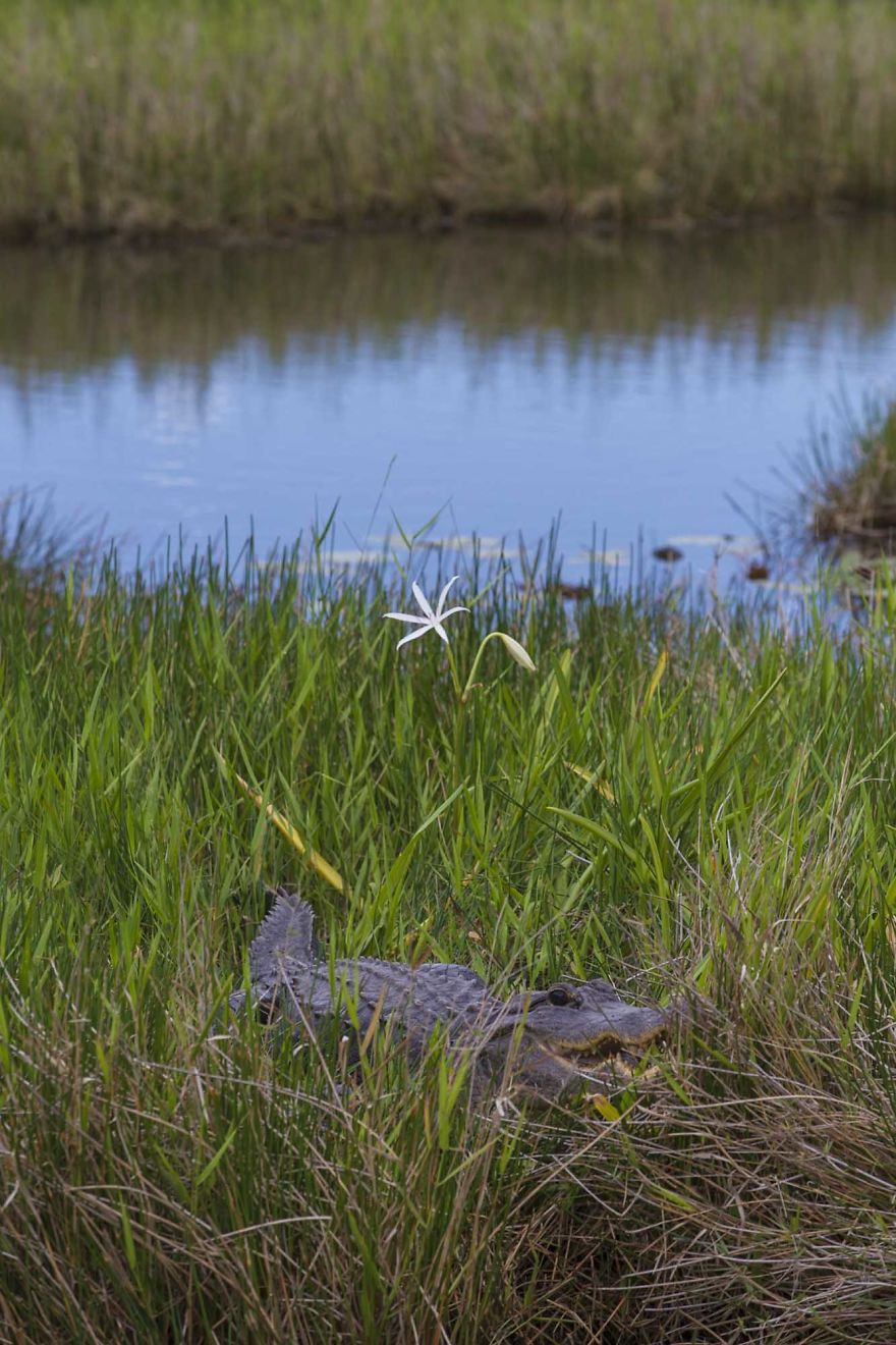 5 Of My Absolute Favorite Wildlife Images 5 Of My Absolute Favorite Wildlife Images
