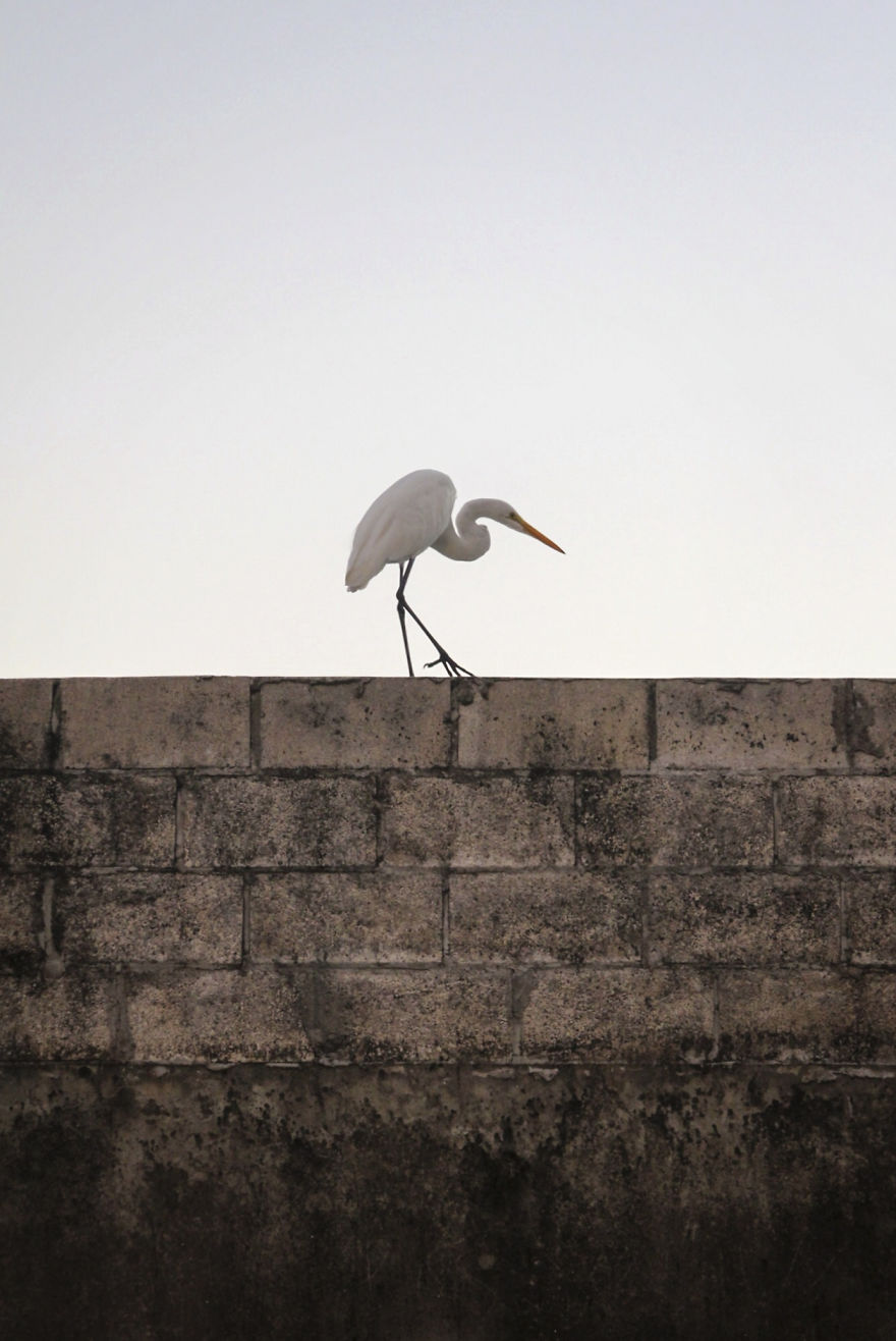 5 Of My Absolute Favorite Wildlife Images 5 Of My Absolute Favorite Wildlife Images