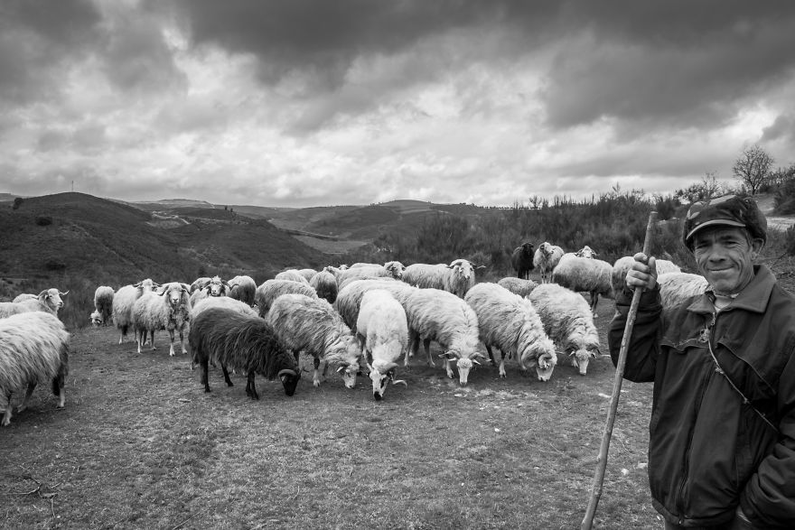 I Photographed The Life Of The Shepherds