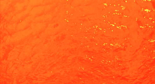In The World Of Colors In The World Of Colors