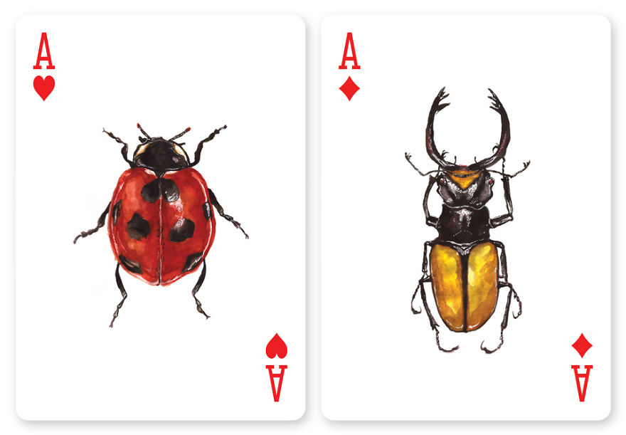 Jewelry Box: A Fantastic Deck Of Magnificent Beetles In Watercolor Technique Jewelry Box: A Fantastic Deck Of Magnificent Beetles In Watercolor Technique