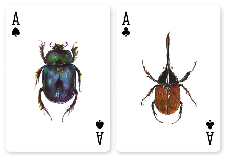 Jewelry Box: A Fantastic Deck Of Magnificent Beetles In Watercolor Technique Jewelry Box: A Fantastic Deck Of Magnificent Beetles In Watercolor Technique