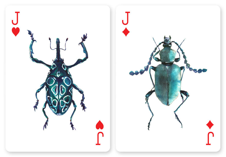 Jewelry Box: A Fantastic Deck Of Magnificent Beetles In Watercolor Technique Jewelry Box: A Fantastic Deck Of Magnificent Beetles In Watercolor Technique
