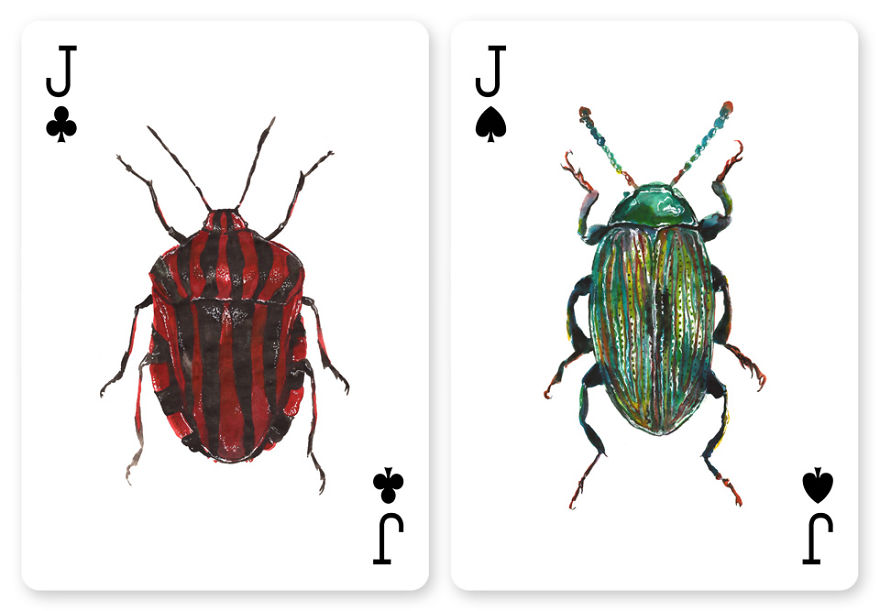 Jewelry Box: A Fantastic Deck Of Magnificent Beetles In Watercolor Technique Jewelry Box: A Fantastic Deck Of Magnificent Beetles In Watercolor Technique