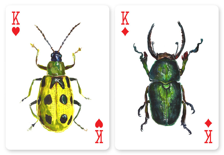 Jewelry Box: A Fantastic Deck Of Magnificent Beetles In Watercolor Technique Jewelry Box: A Fantastic Deck Of Magnificent Beetles In Watercolor Technique