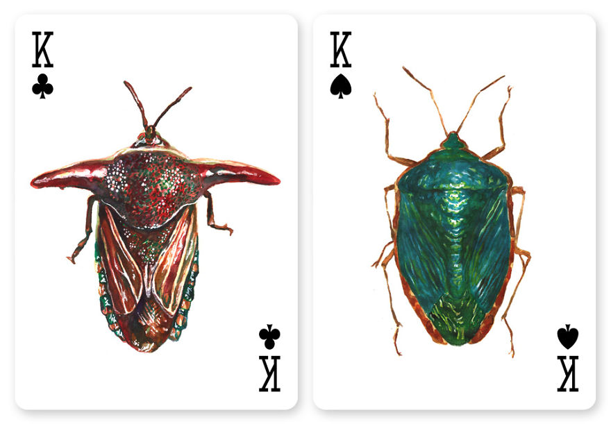 Jewelry Box: A Fantastic Deck Of Magnificent Beetles In Watercolor Technique Jewelry Box: A Fantastic Deck Of Magnificent Beetles In Watercolor Technique