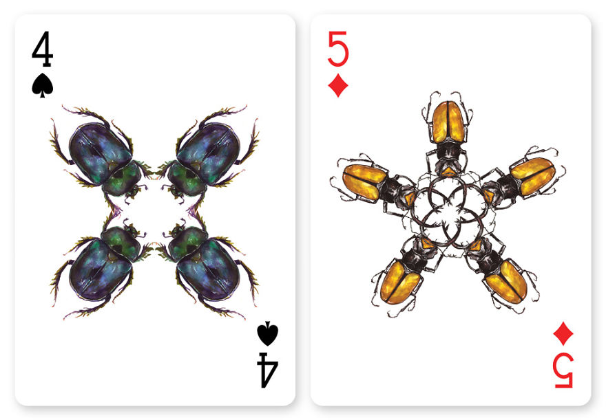 Jewelry Box: A Fantastic Deck Of Magnificent Beetles In Watercolor Technique Jewelry Box: A Fantastic Deck Of Magnificent Beetles In Watercolor Technique