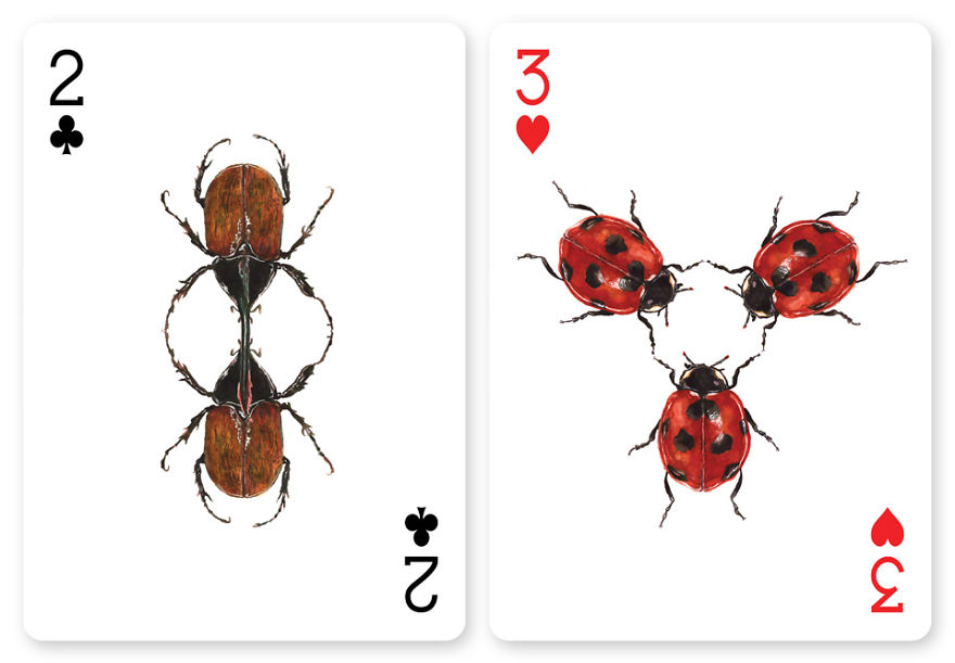 Jewelry Box: A Fantastic Deck Of Magnificent Beetles In Watercolor Technique Jewelry Box: A Fantastic Deck Of Magnificent Beetles In Watercolor Technique