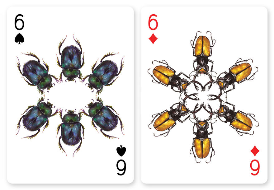 Jewelry Box: A Fantastic Deck Of Magnificent Beetles In Watercolor Technique Jewelry Box: A Fantastic Deck Of Magnificent Beetles In Watercolor Technique