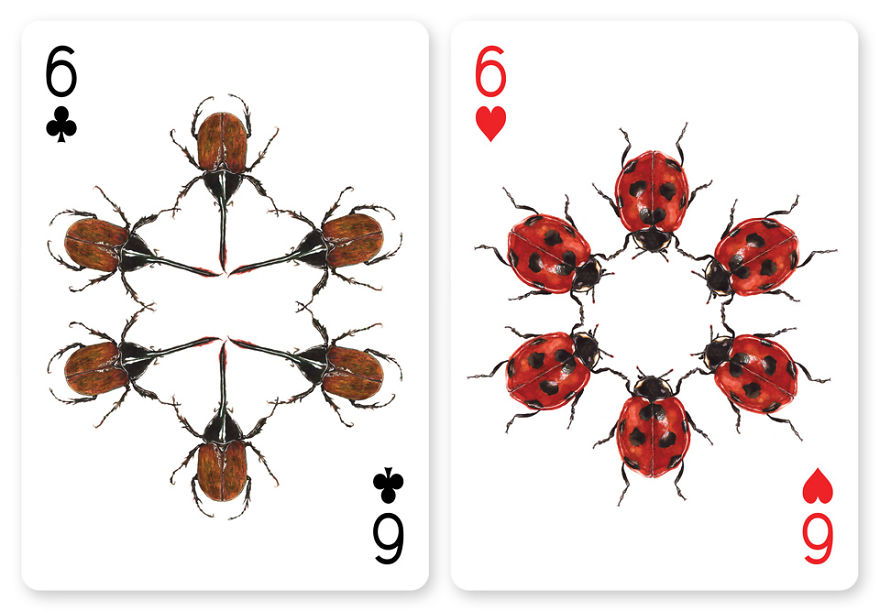 Jewelry Box: A Fantastic Deck Of Magnificent Beetles In Watercolor Technique Jewelry Box: A Fantastic Deck Of Magnificent Beetles In Watercolor Technique