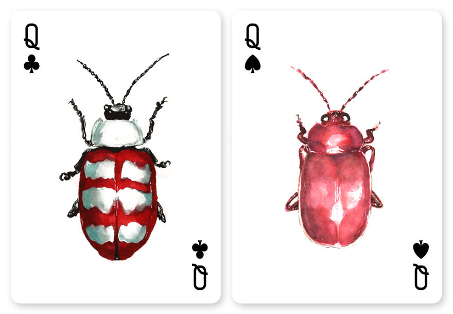Jewelry Box: A Fantastic Deck Of Magnificent Beetles In Watercolor Technique Jewelry Box: A Fantastic Deck Of Magnificent Beetles In Watercolor Technique