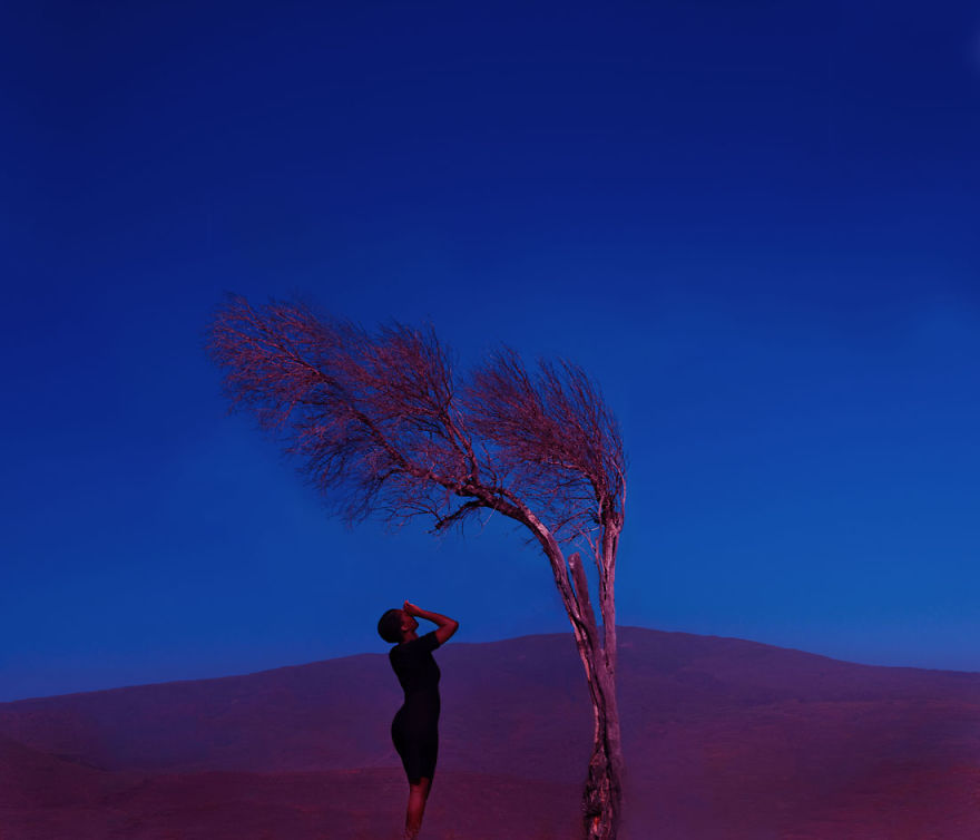 I Created Different Love Stories With An Old Dead Tree