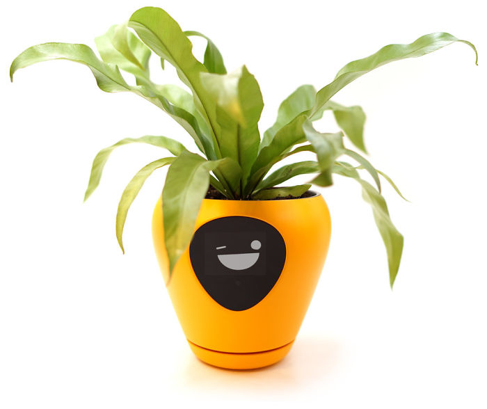 This Planter Turns Your Plants Into Tamagotchi-Like Pets