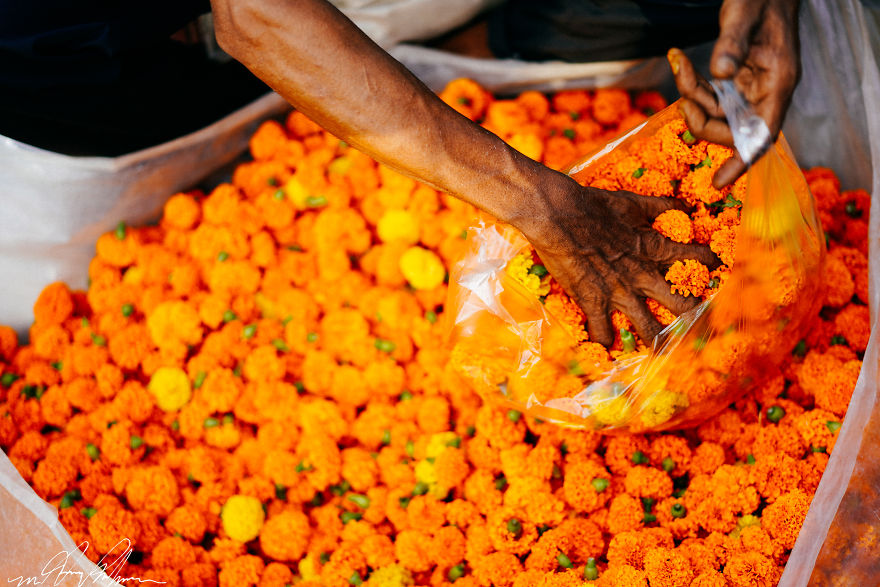 I Spent A Morning At The Largest Flower Market In South Asia