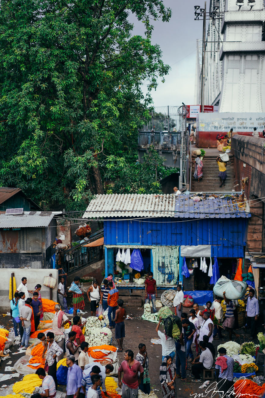 I Spent A Morning At The Largest Flower Market In South Asia