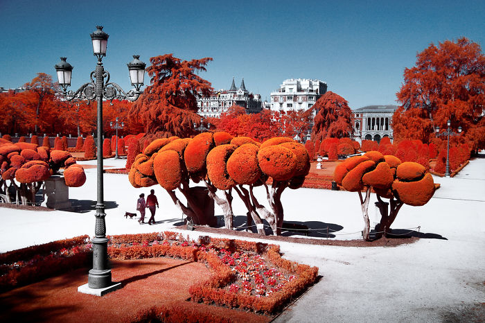 My 22 Pics Of Madrid That I Captured Using Infrared Photography