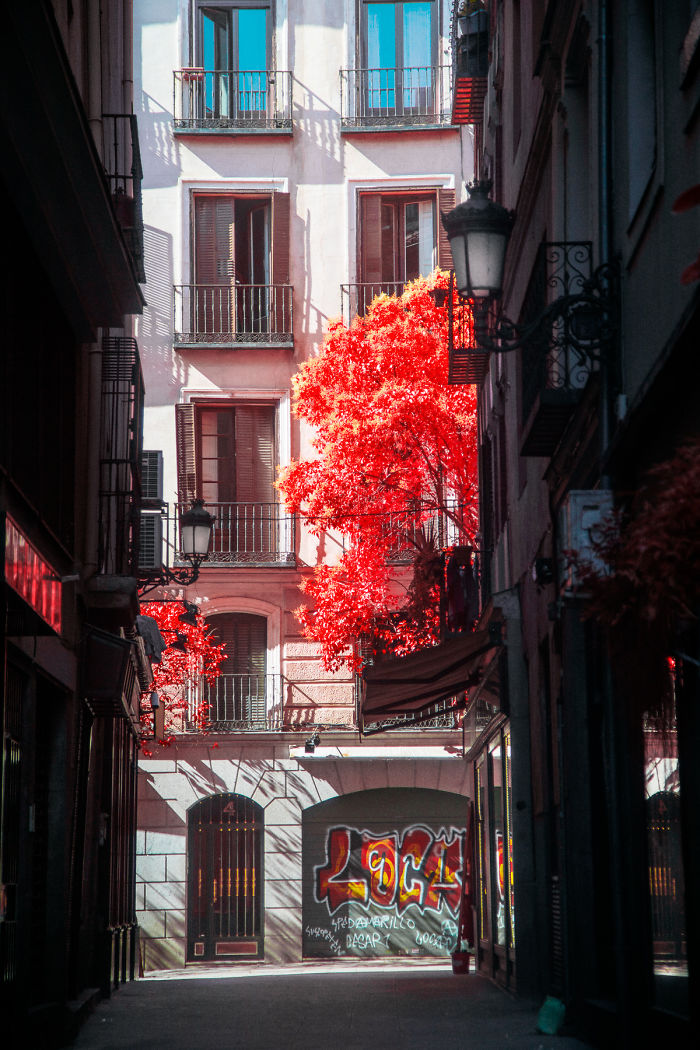 My 22 Pics Of Madrid That I Captured Using Infrared Photography