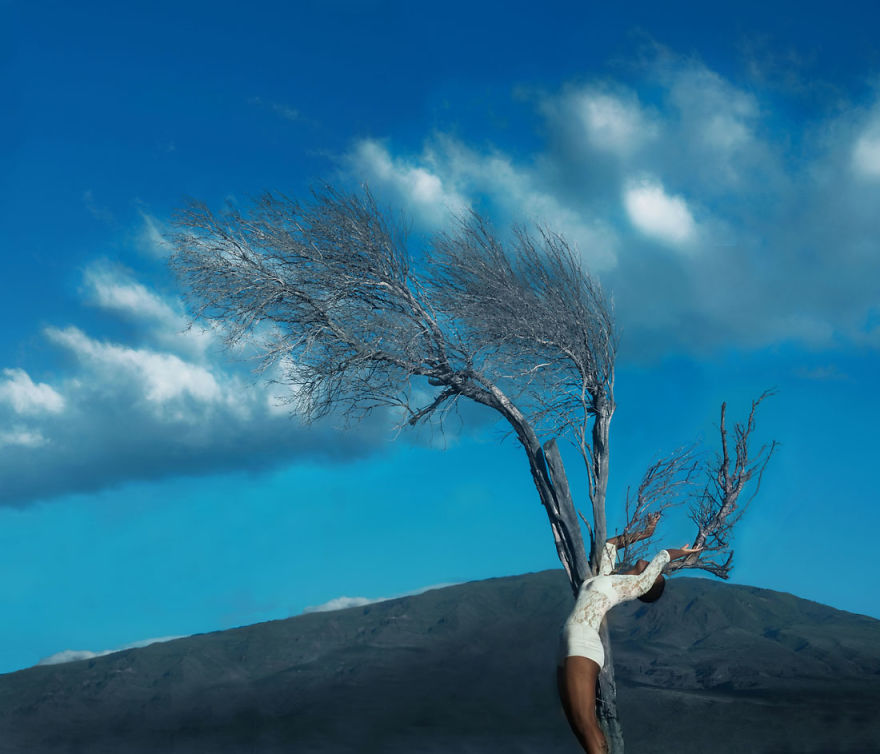 I Created Different Love Stories With An Old Dead Tree
