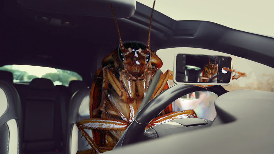 The Cockroach With An Instagram