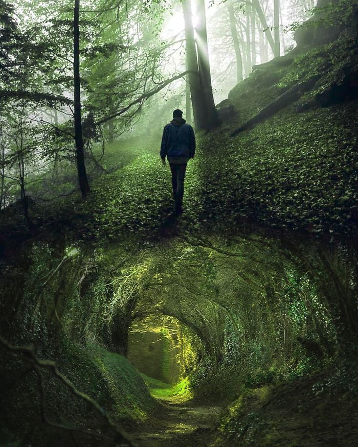 Man walking on forest path with visual metaphors and dreamlike atmosphere, merging ground and tunnel perspectives.