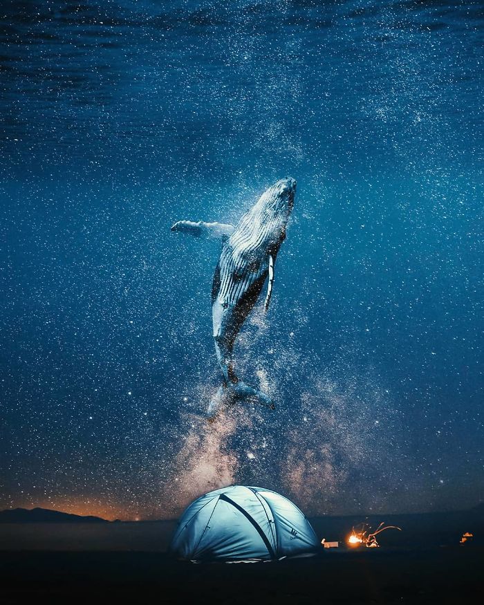 Surreal photo of a whale leaping into a starry sky above a tent, creating a dreamlike atmosphere with visual metaphors.