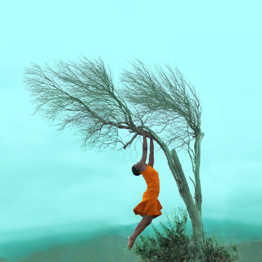 I Created Different Love Stories With An Old Dead Tree