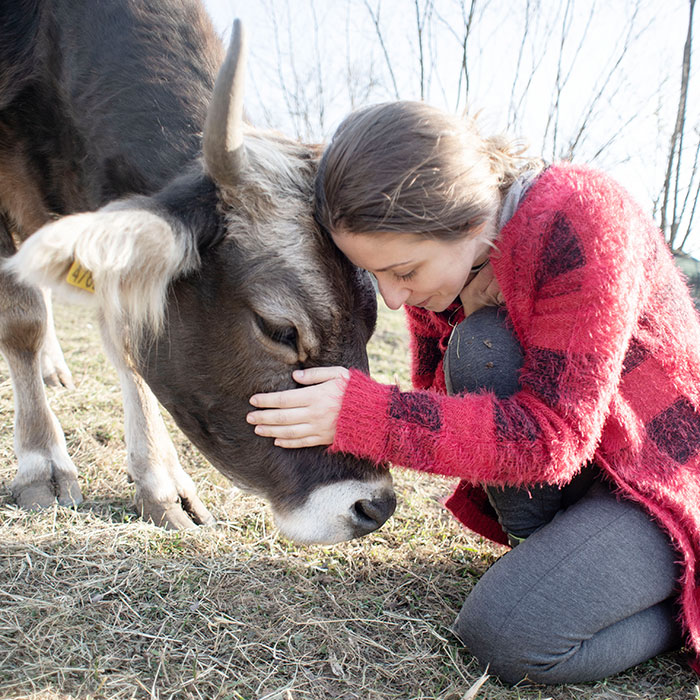 We Show 20 Reasons Why Cows Should Be Petted, Not Farmed (20 Pics)
