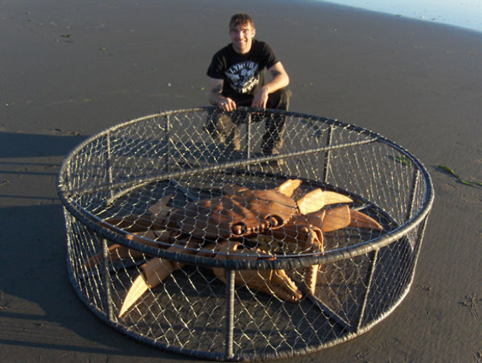 30 Amazing Wood Sculptures Made From The Pieces Found On Beaches