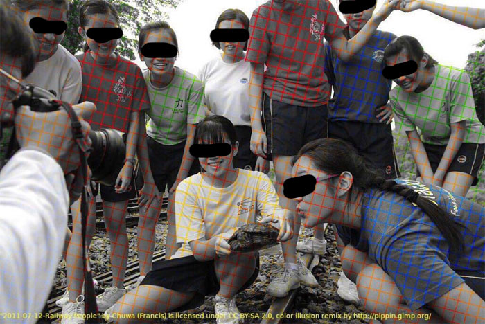 Black And White Photo Shows How An Optical Illusion Can Trick Our Brain Into Coloring It
