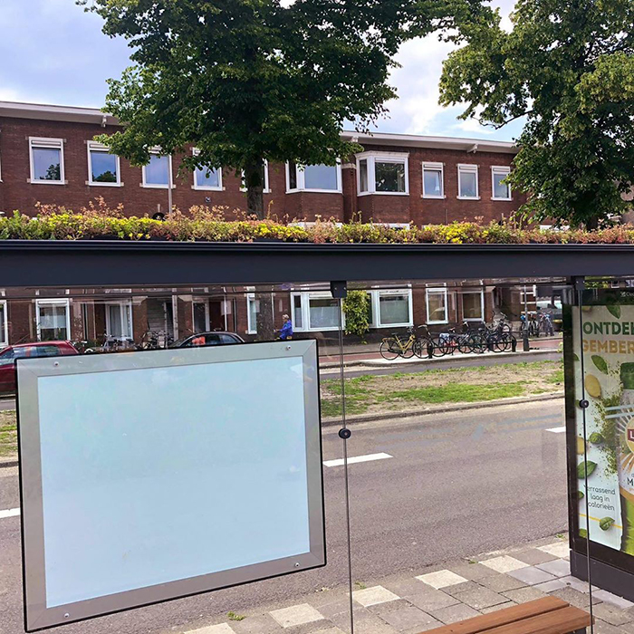 The Netherlands Turns 316 Bus Stops Into Bee Stops