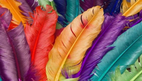 In The World Of Colors In The World Of Colors