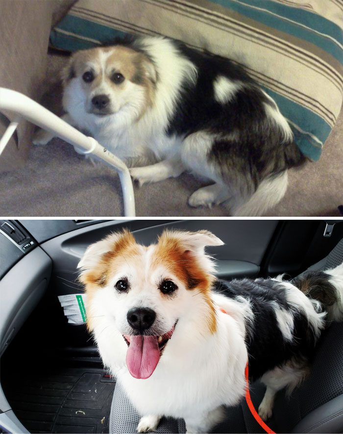 The Day After Asher Was Adopted In 2012 vs. Today