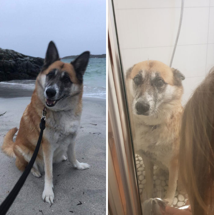 At The Beach vs. Cleaning Feet After