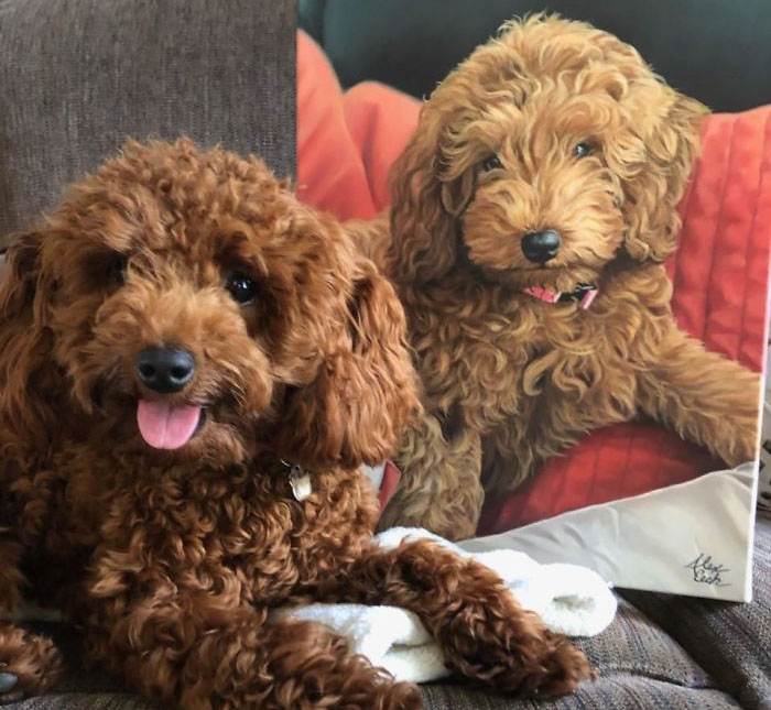 I Paint Custom Pet Portraits And Seeing Them With Their Paintings Is Definitely The Best Thing (11 Pics)