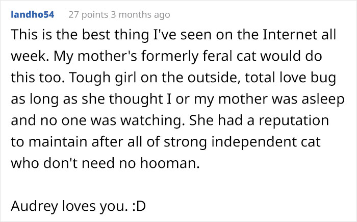 Someone Writes Letter To Their 'Unfriendly' Cat Exposing Her Sweet Side To The Whole Internet