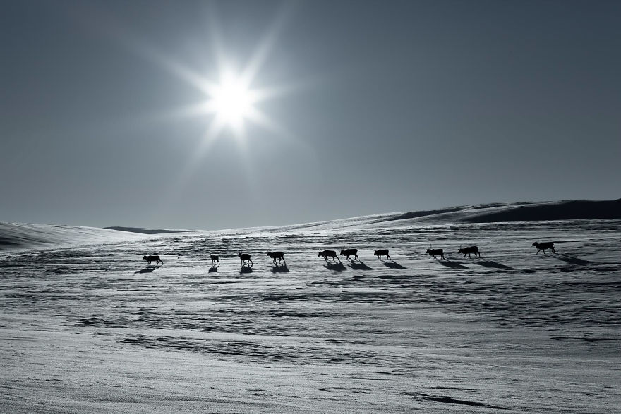 Cold And A Sun