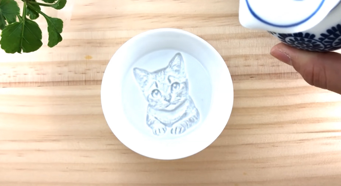 After Pouring Soy Sauce Into These Plates, Entire "Hidden Paintings" Appear