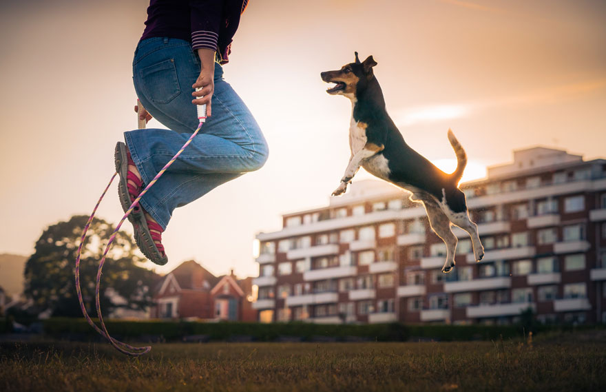 Dogs At Play Category 2nd Place Winner, ‘Let's Jump Rope Together!’ By Zoltan Kecskes, UK