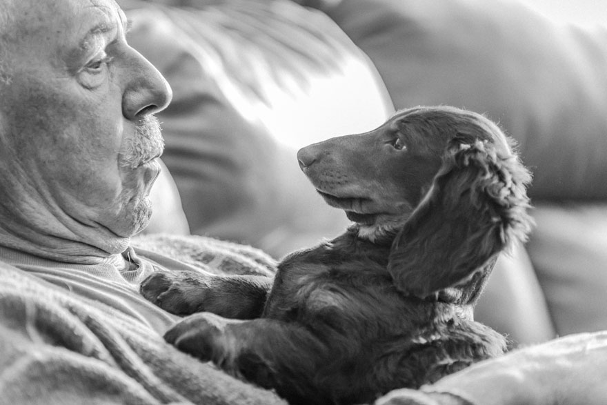 Man’s Best Friend 3rd Place Winner, ‘Meeting Of The Minds’ By Michele Mccue, Canada