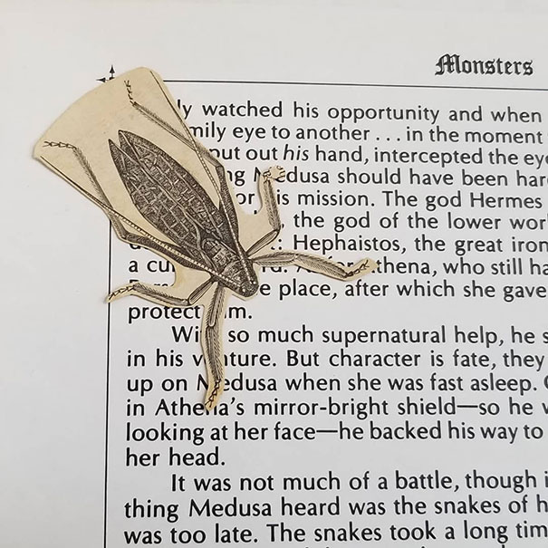 Eek! This Cockroach (Cut From A Much Older Book) Was Found In A Copy Of "Monsters" By Leonard Wolf