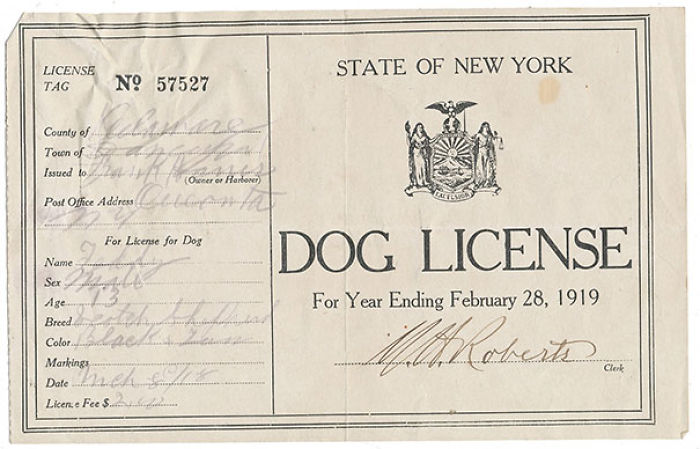 Licencia para tener perro de 1919 dentro de "The Oregon trail"