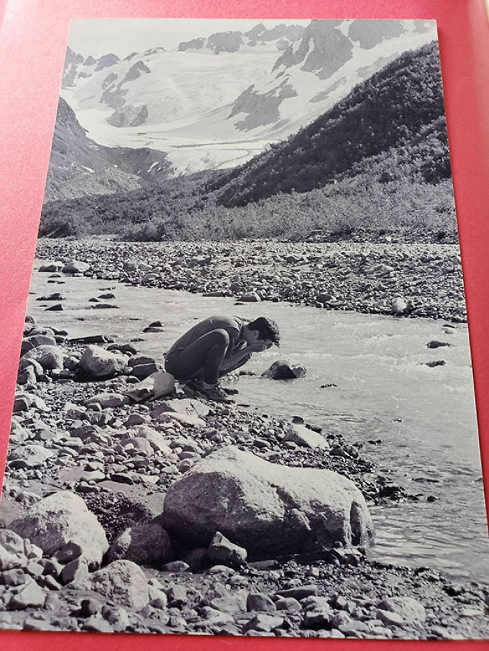 Foto preciosa encontrada en un libro sobre las aves de Alaska