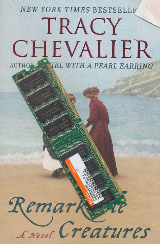 Here's A Stick Of RAM I Found In Tracy Chevalier's "Remarkable Creatures"