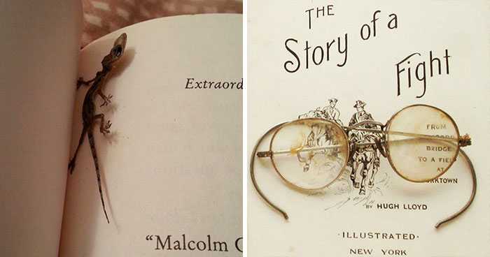 40 Times People Were So Surprised By The Things They Found In Second-Hand Books, They Just Had To Share